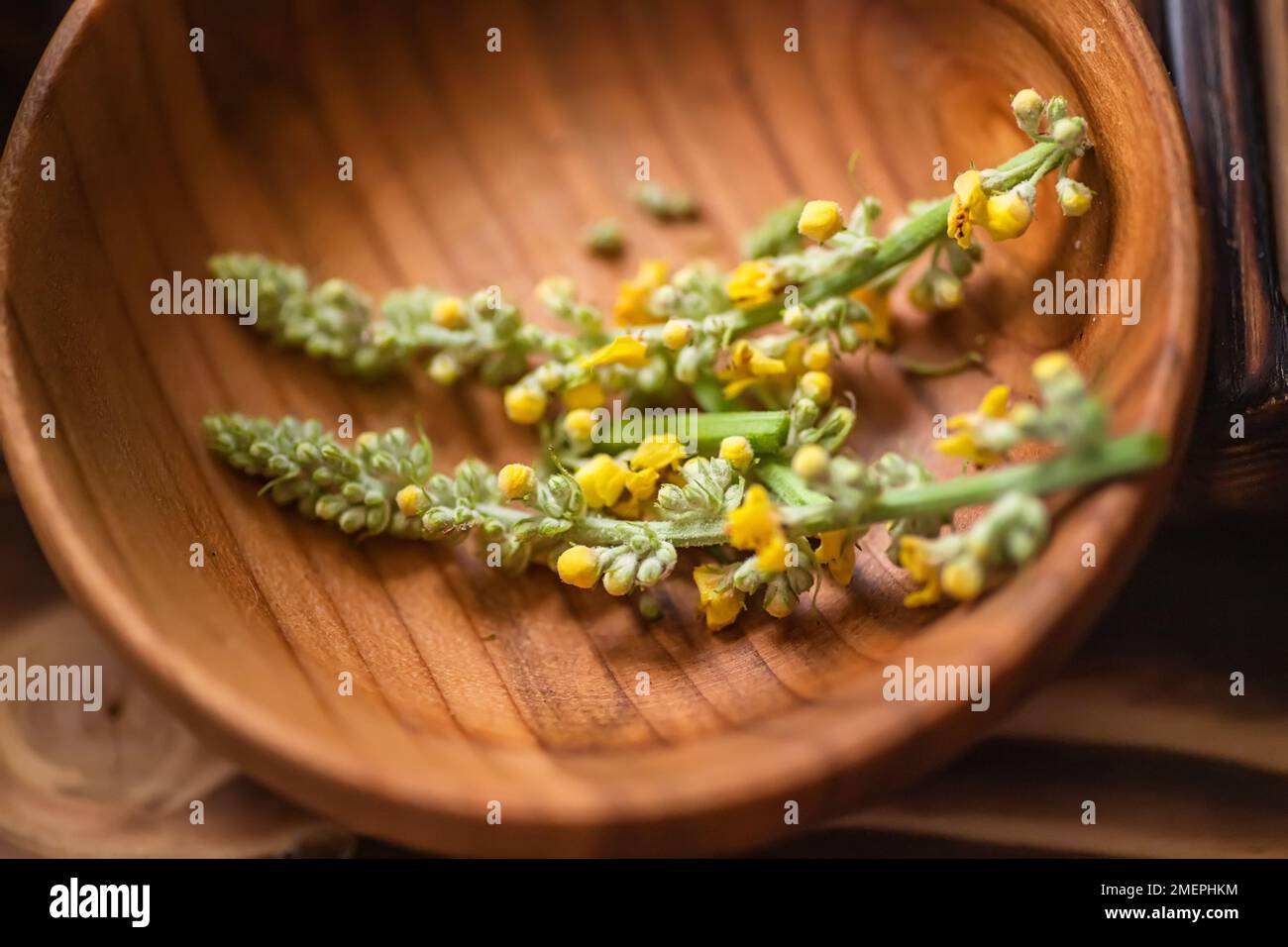 Fiori freschi gialli Verbascum nigrum, mullein nero, mullein scuro, in un eco piatto di legno sul tavolo Foto Stock