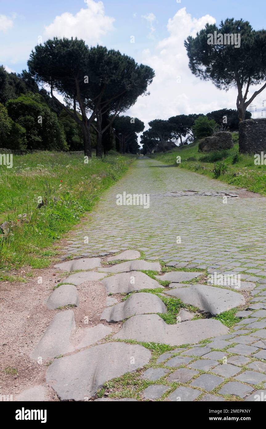 Italia, Lazio, Roma, Via Appia Antica, strada fiancheggiata da pini e cipressi Foto Stock