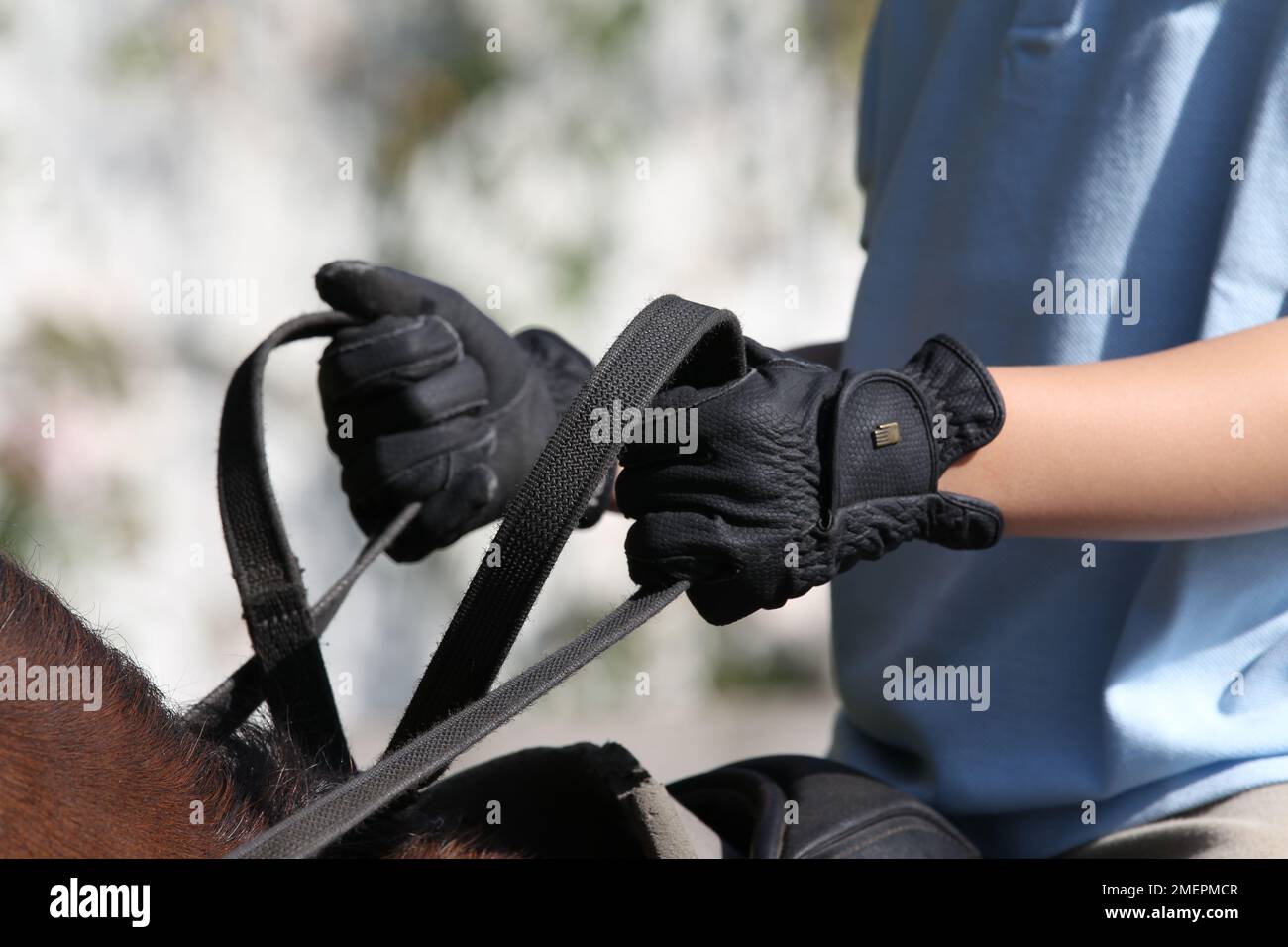 Tenere le redini dei cavalli. Foto Stock