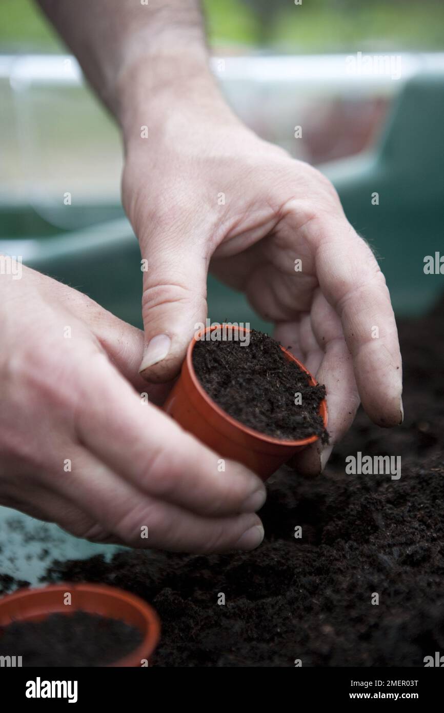 Pentola di plastica piccola di composto Foto Stock