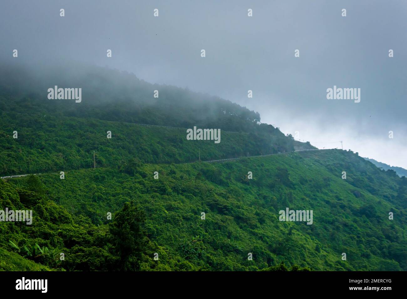 Nebbia che pende sul Passo di Hải Vân Hai Van, Vietnam. Foto Stock