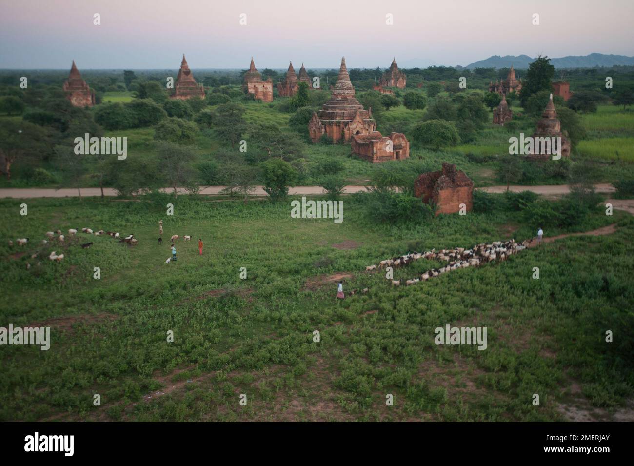 Myanmar, Birmania occidentale, Bagan, tramonto sulla pianura meridionale con pastore di capra Foto Stock