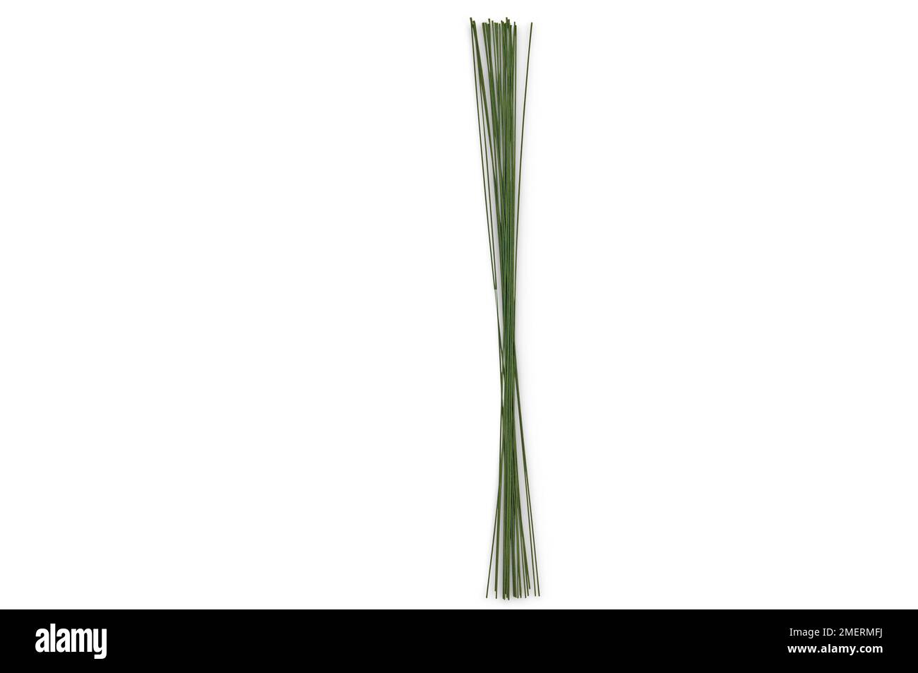 Filo fiorista Foto Stock