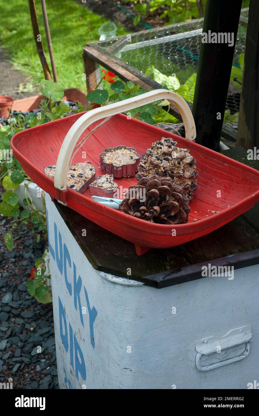 Dolci di uccello nel cestino del abbraccio del giardiniere Foto Stock