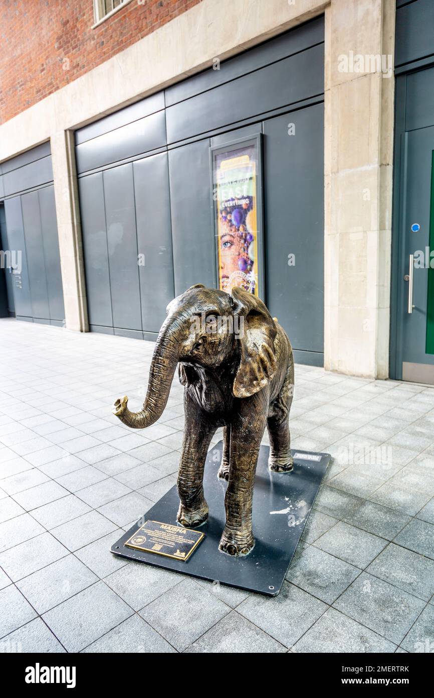 Scultura in bronzo di elefante al mercato di Spitalfields, Londra, Regno Unito Foto Stock