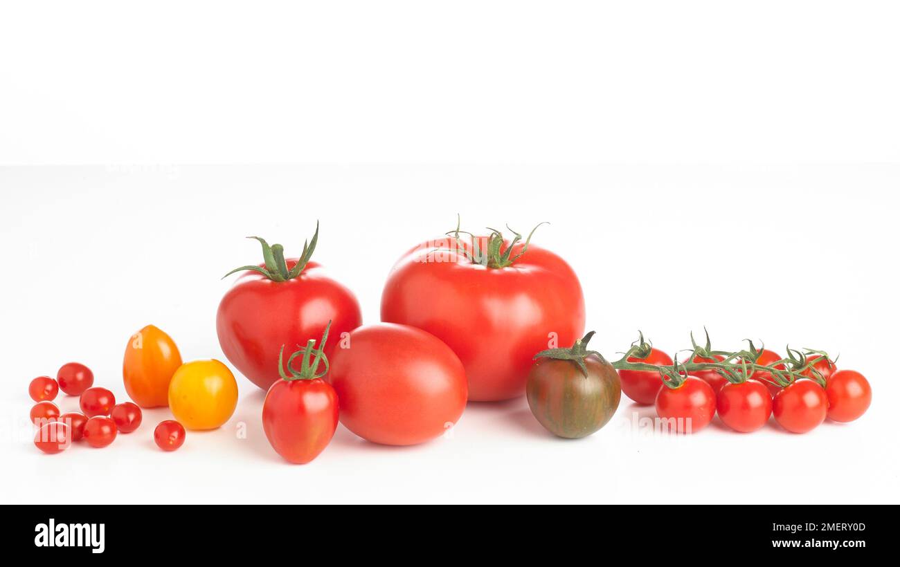 Selezione di pomodori diversi Foto Stock