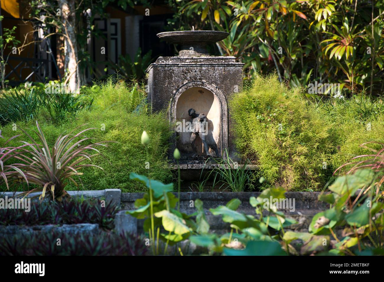 Aluthgama e Bentota, Beruwala, Giardino breve, Sri Lanka, Provincia Occidentale Foto Stock