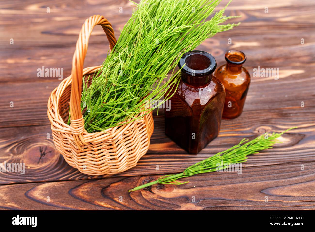 Equisetum, Horsetail, erba di serpente, olio per cosmetologia. puzzlegrass, estratto di candela per medicina alternativa usato diuretico per edema, tonico, ferita lui Foto Stock