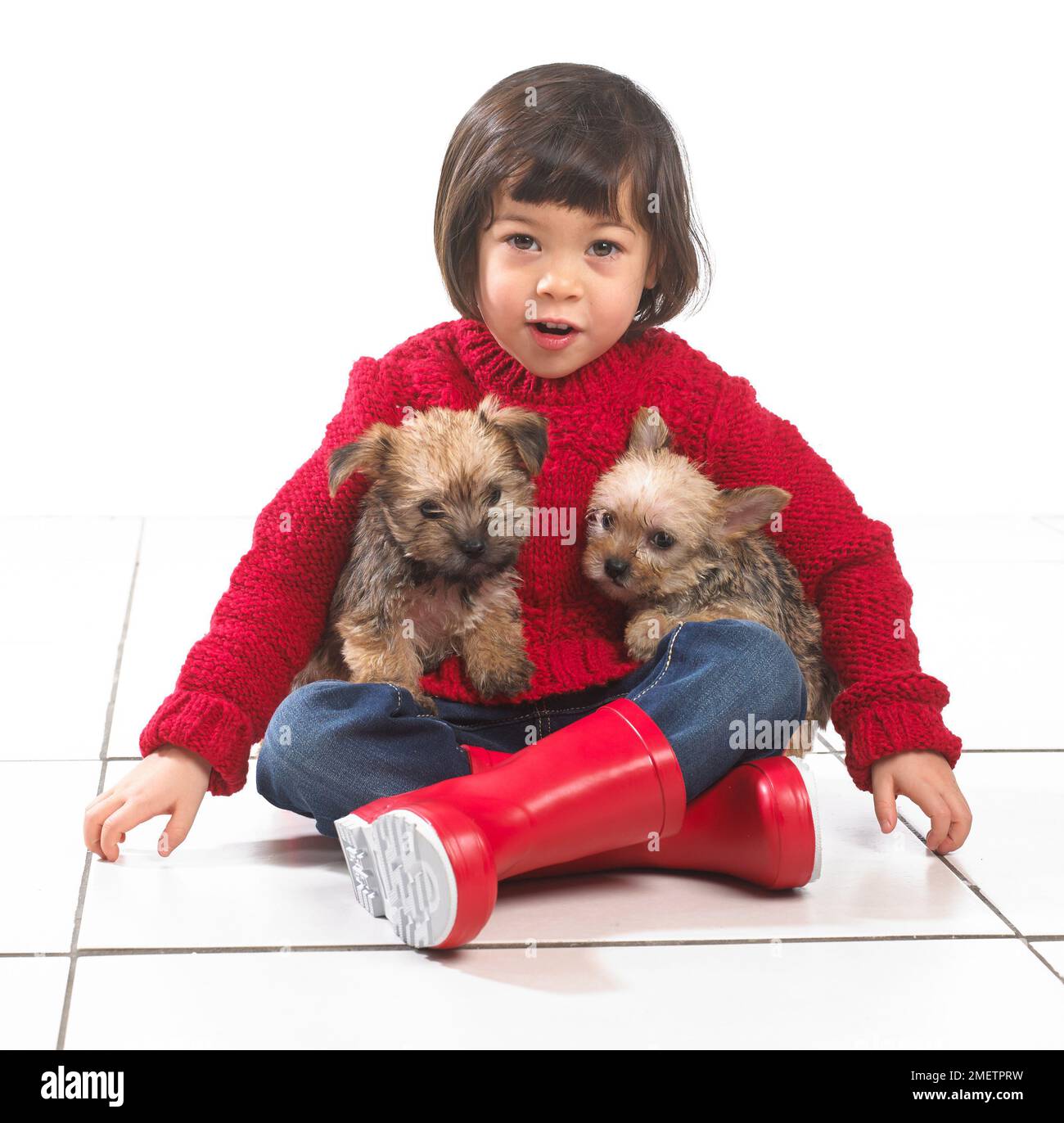 Giovane ragazza seduta con due cuccioli in grembo, 2 anni Foto Stock
