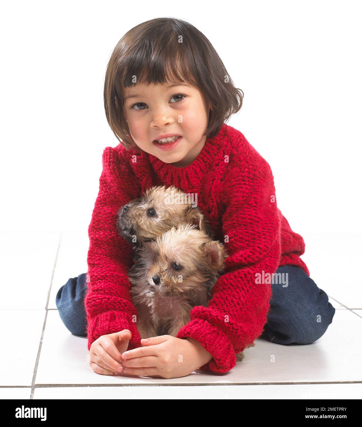 Giovane ragazza seduta con due cuccioli tra le gambe, 2 anni Foto Stock