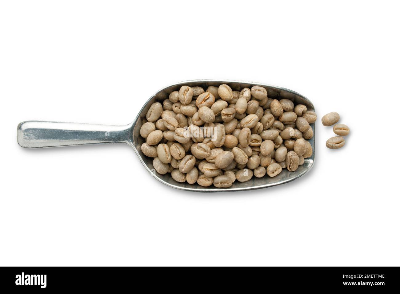 Thailandia, cucchiaio di caffè in grani di Peaberries arabica lavati Foto Stock