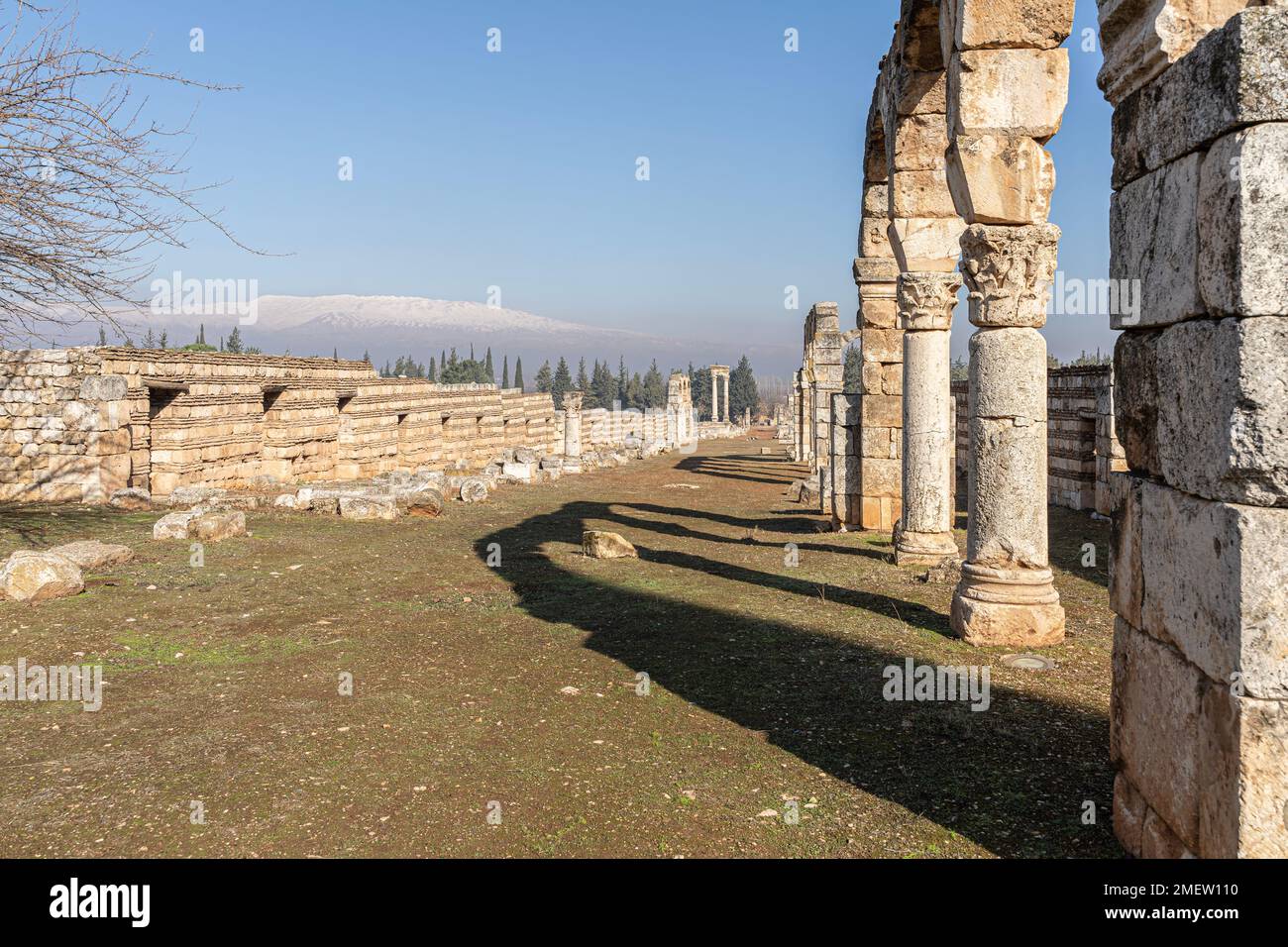 Le rovine romane di Anjar, Libano Foto Stock