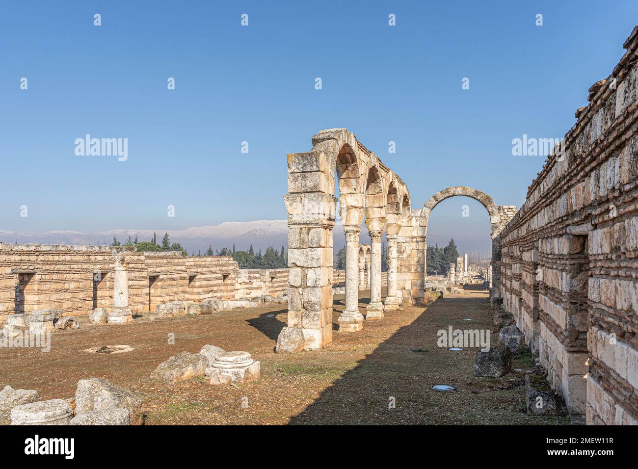 Le rovine romane di Anjar, Libano Foto Stock