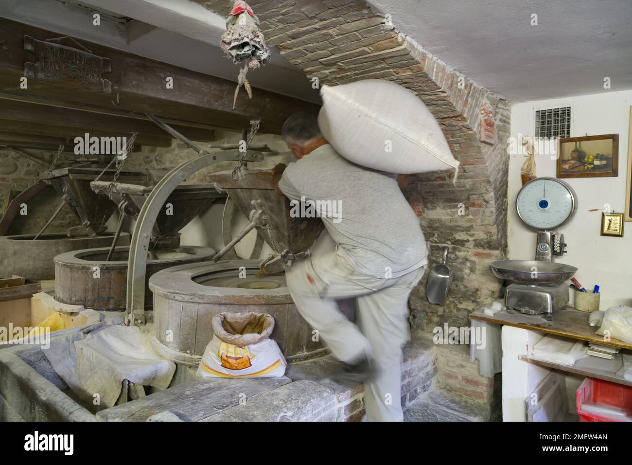 Uomo che trasporta sacchi di grano in macina a Molino Grifoni, un mulino che produce farine di tonno dal 1696, a Castel San Niccolò, Toscana, Italia Foto Stock