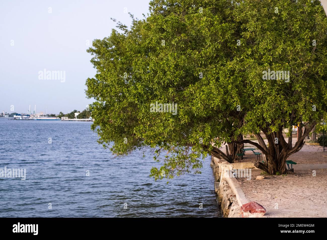 Zona soggiorno a la punta, Cienfuegos, Cuba Foto Stock