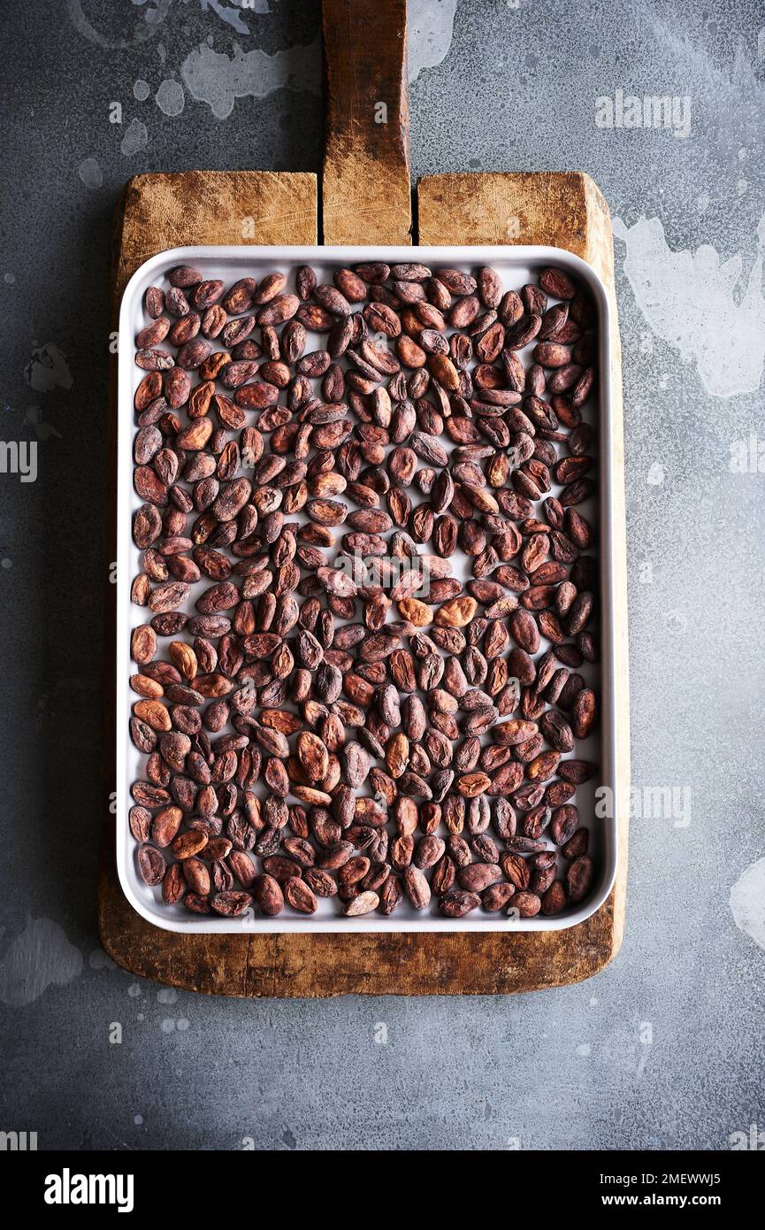Tostatura dei semi di cacao Foto Stock