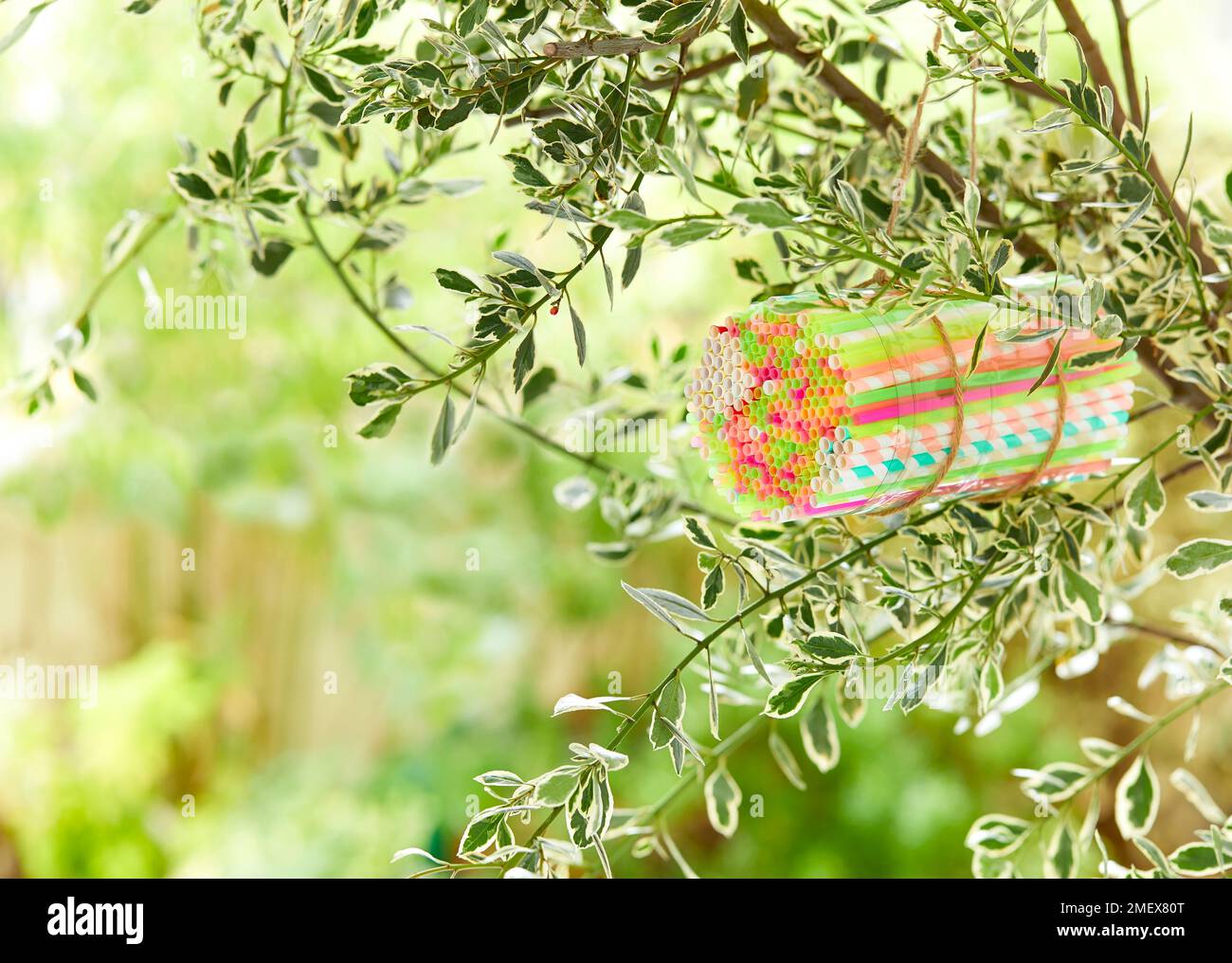 Beehouse Final Lifestyle shot - Beehouse fatto di cannucce e bottiglia di plastica appeso all'albero Foto Stock