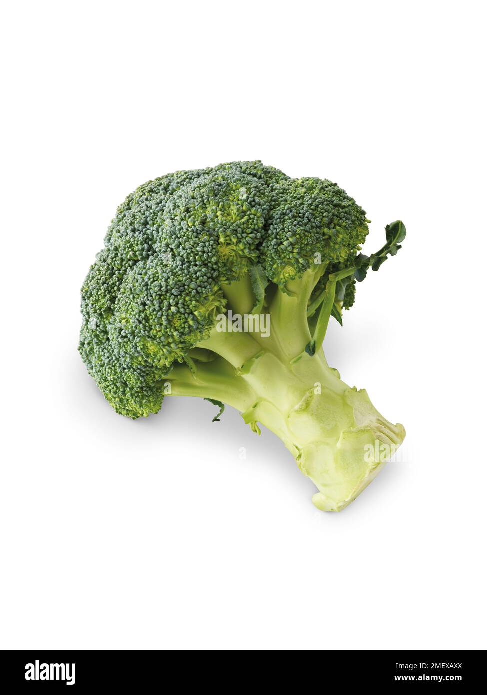 Broccolo Foto Stock