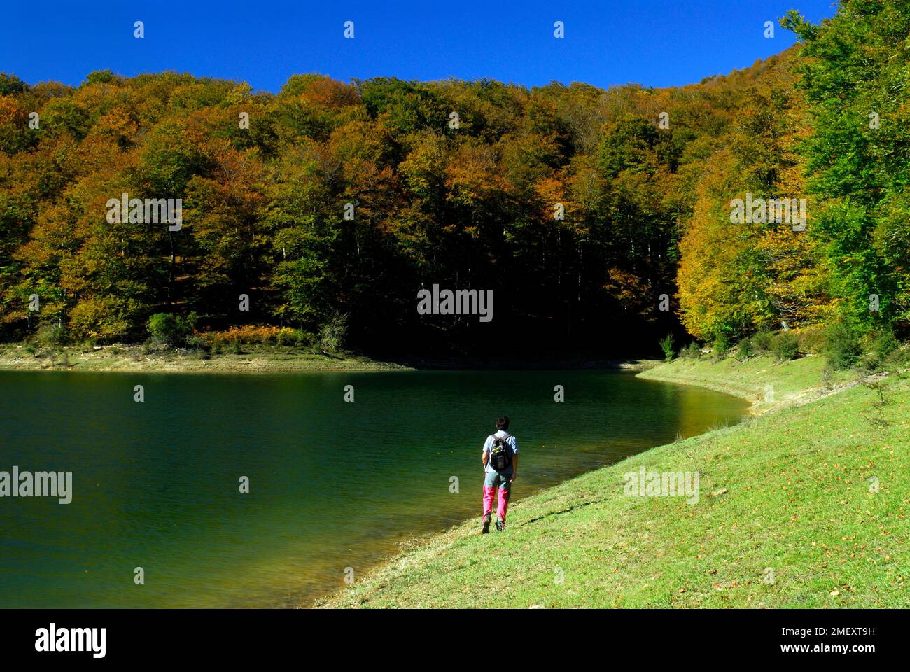 Un escursionista cammina attraverso il bacino idrico di Irabia nella foresta di Irati. Navarra. Spagna Foto Stock