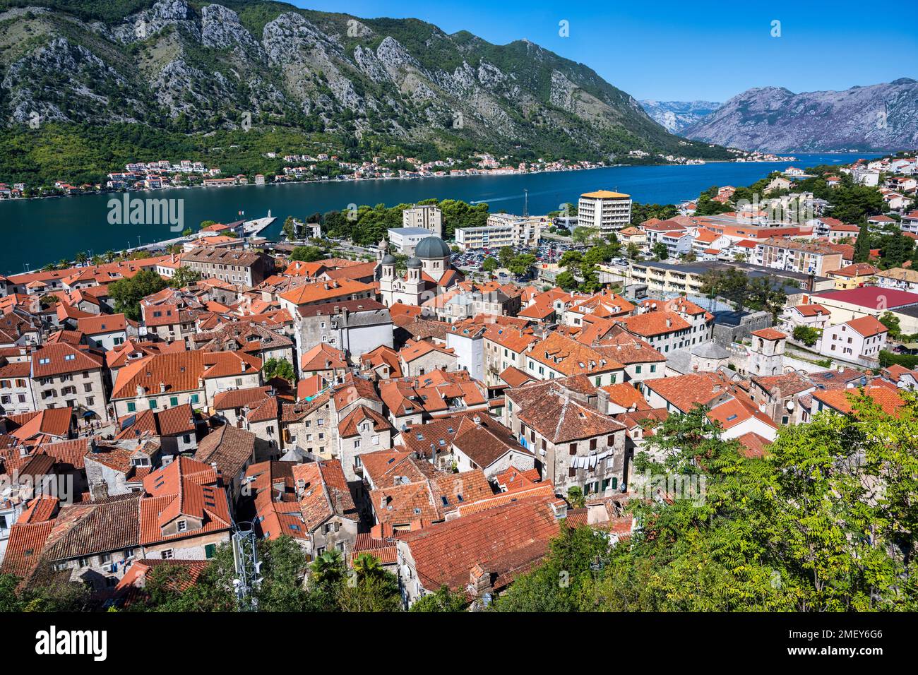 Veduta aerea della città fortificata di Cattaro sulla baia di Cattaro in Montenegro Foto Stock