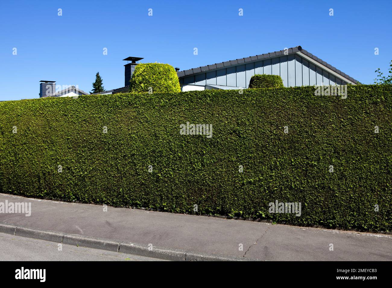 Casa privata con una siepe adeguata, Germania Foto Stock