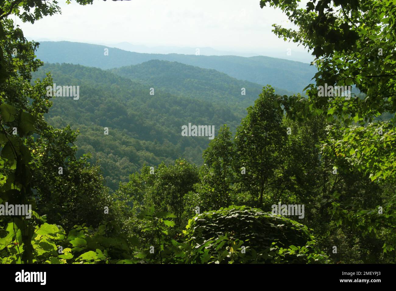 Paesaggio montano nella Carolina del Nord sud-occidentale, Stati Uniti. I boschi incontaminati della Nantahala National Forest. Foto Stock