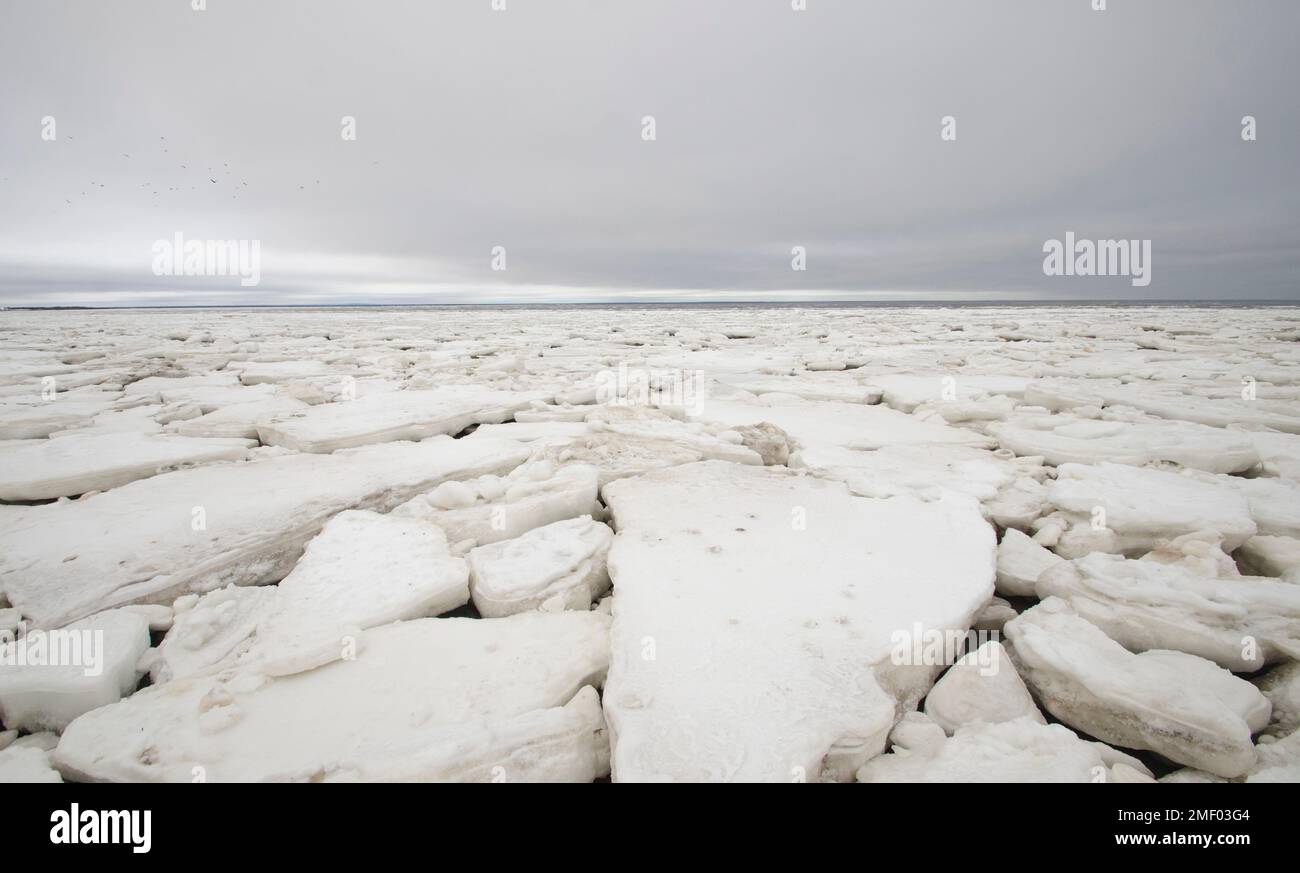 Grandi ghiacci bianchi spezzati sulla riva del Mar Bianco Foto Stock