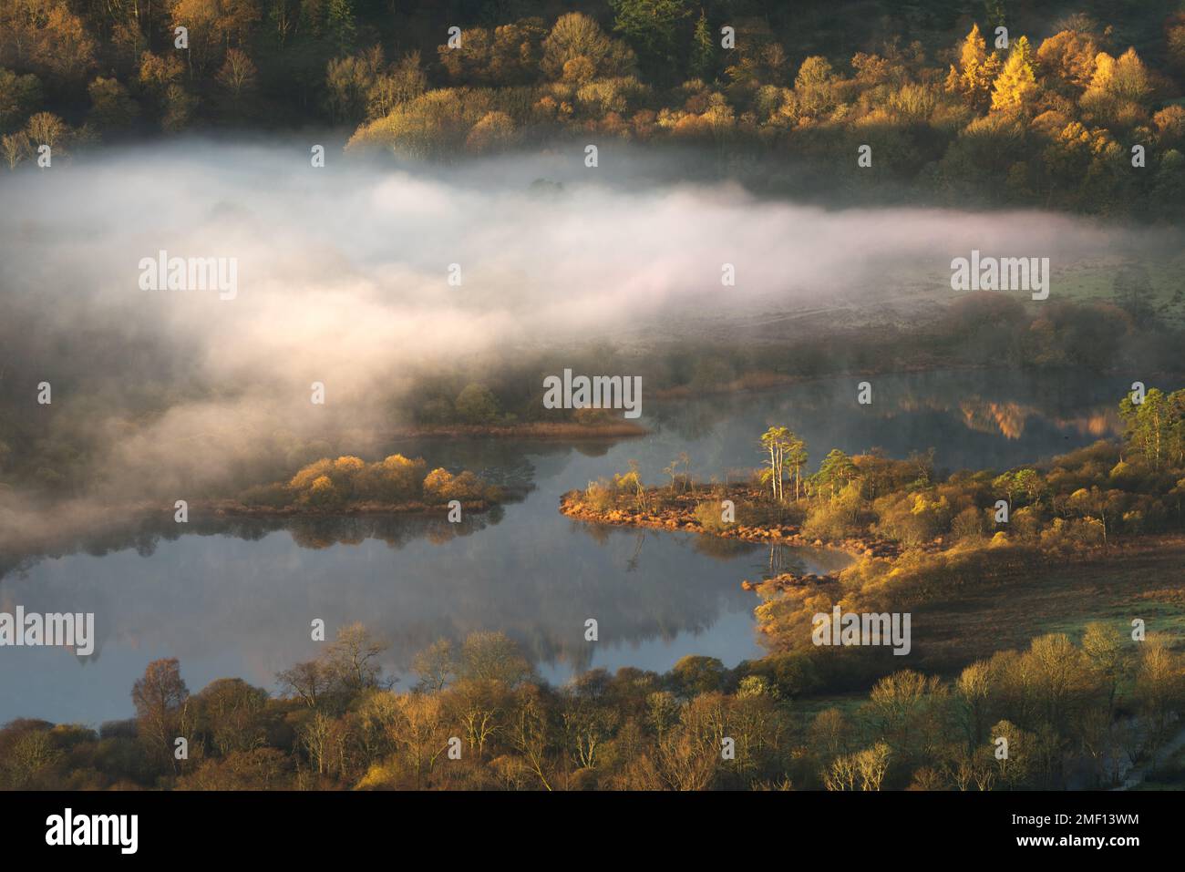 Colori d'autunno d'oro a Elterwater on Misty Morning, Lake District, Regno Unito. Foto Stock