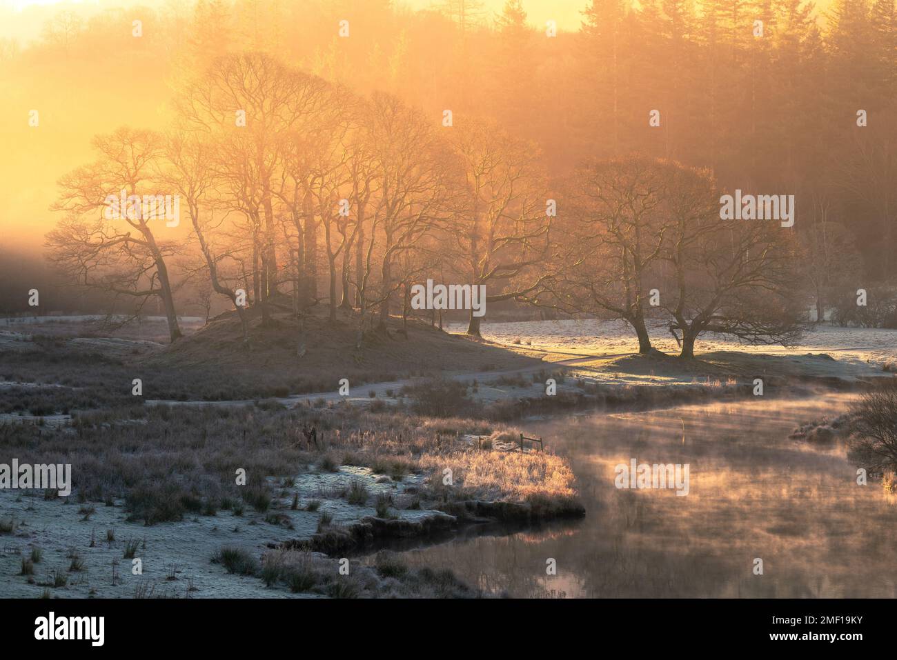 Luce dorata in una bella e fresca mattinata invernale con nebbia che sorge dal fiume vicino a Elterwater nel Lake District, Regno Unito. Foto Stock