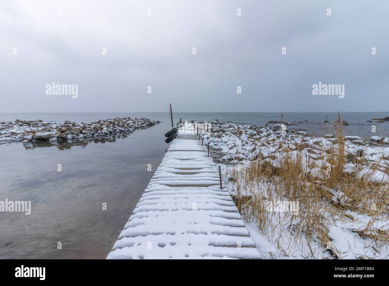 Costa grigia del Mar Baltico in Estonia Foto Stock
