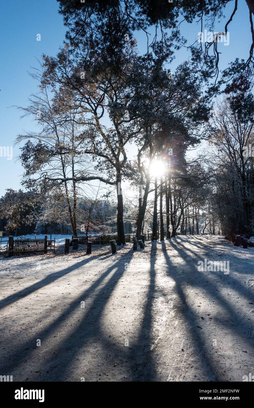 Scene invernali ad Aspley Heath, Woburn, Regno Unito Foto Stock