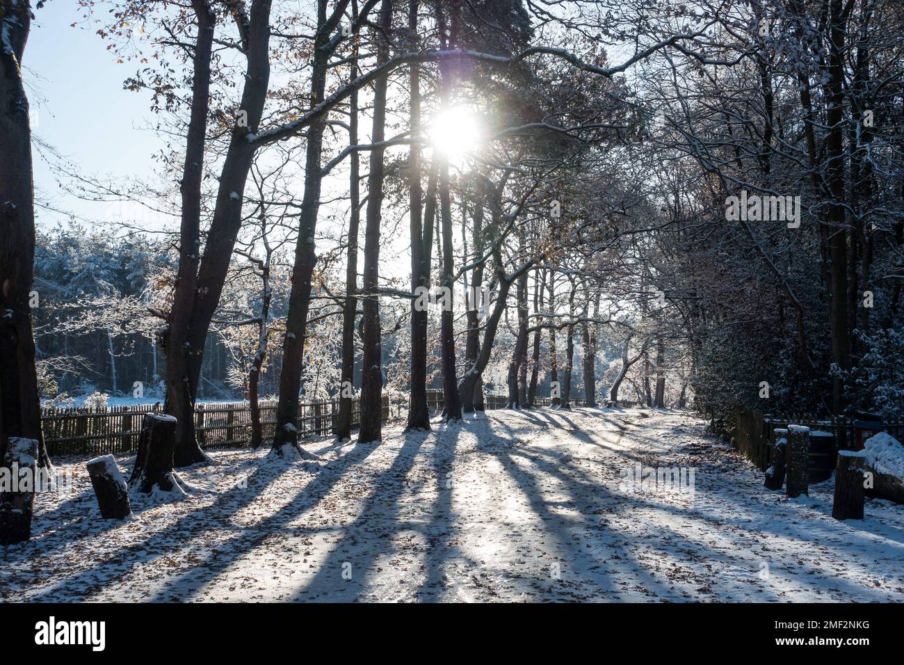 Scene invernali ad Aspley Heath, Woburn, Regno Unito Foto Stock