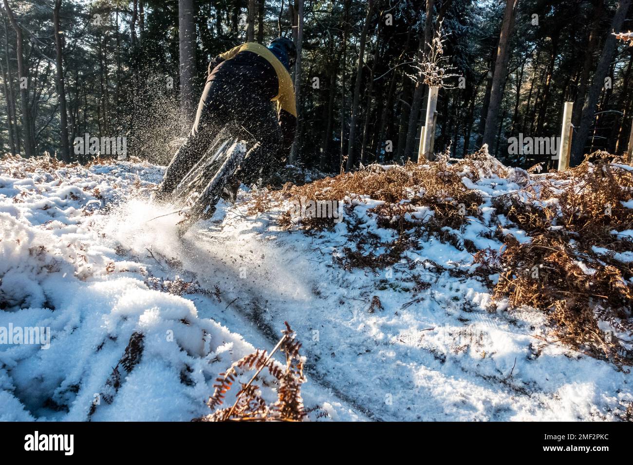 Mountain Bike nella neve, Inghilterra, Regno Unito Foto Stock