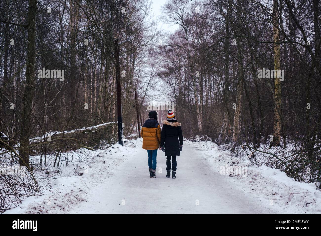 Due persone che camminano nei boschi in Svezia Foto Stock