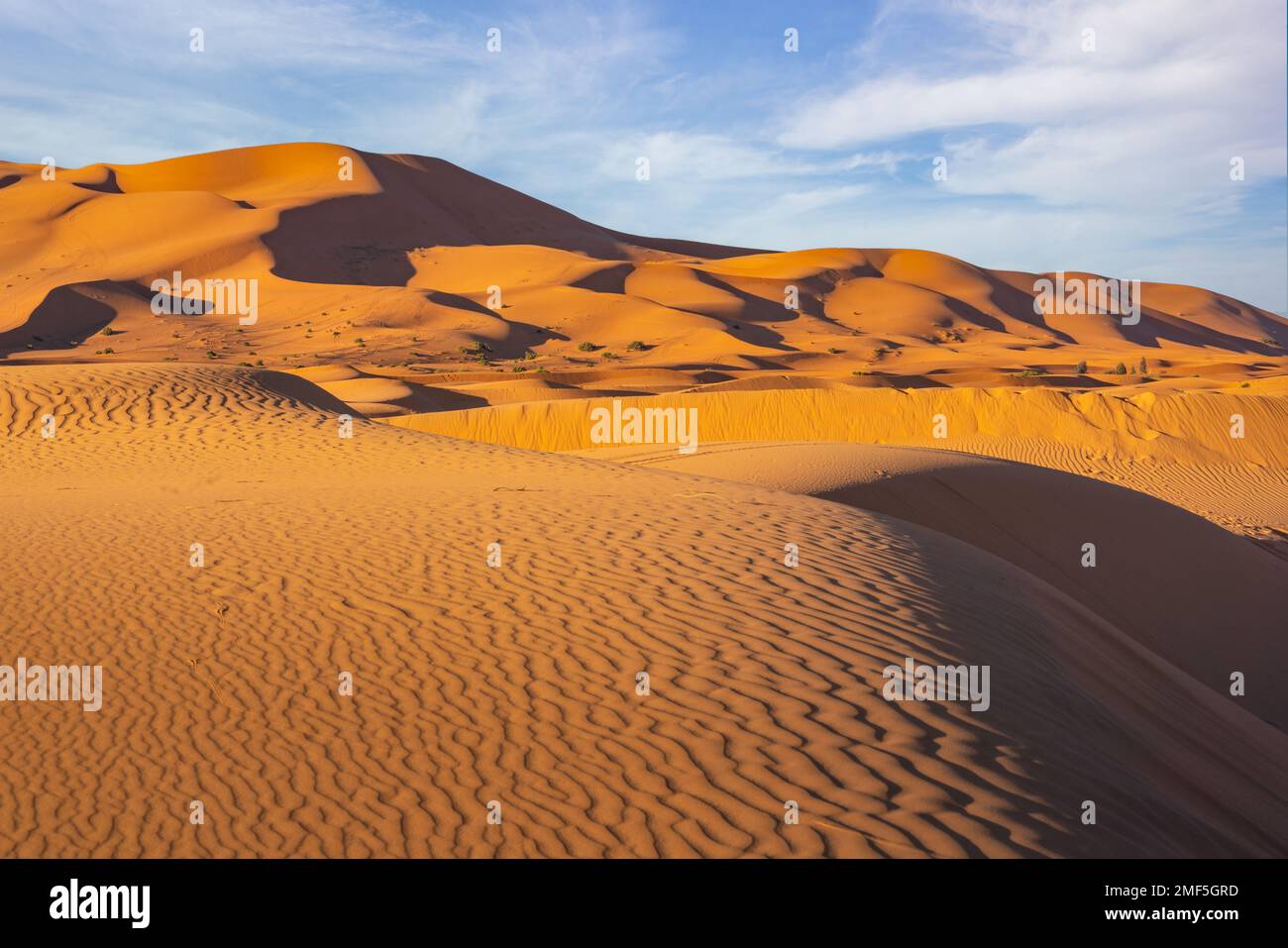 Una vista delle dune del deserto nel deserto del Sahara, Marocco Foto Stock
