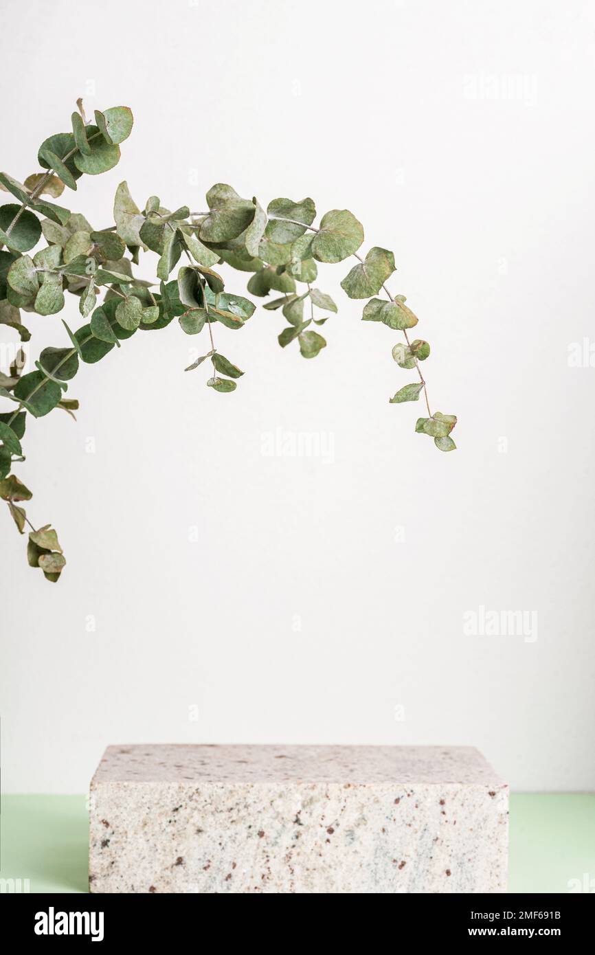 Podio in pietra naturale, mock up per profumo o cosmetico, foglie di eucalipto. Sfondo bianco e verde. Foto Stock