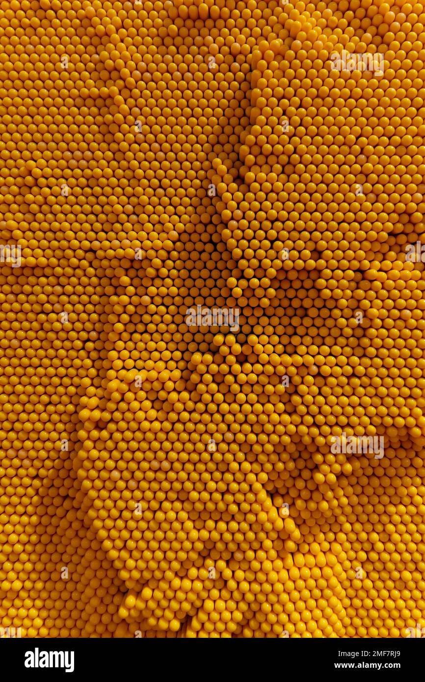 Vista ravvicinata di una parete con schermo a spillo Foto Stock