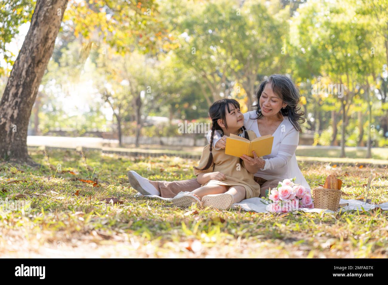 Felice nonna asiatica raccontando storie, leggendo abbastanza storie a sua adorabile nipote mentre fa un picnic nel bellissimo parco del fine settimana Foto Stock