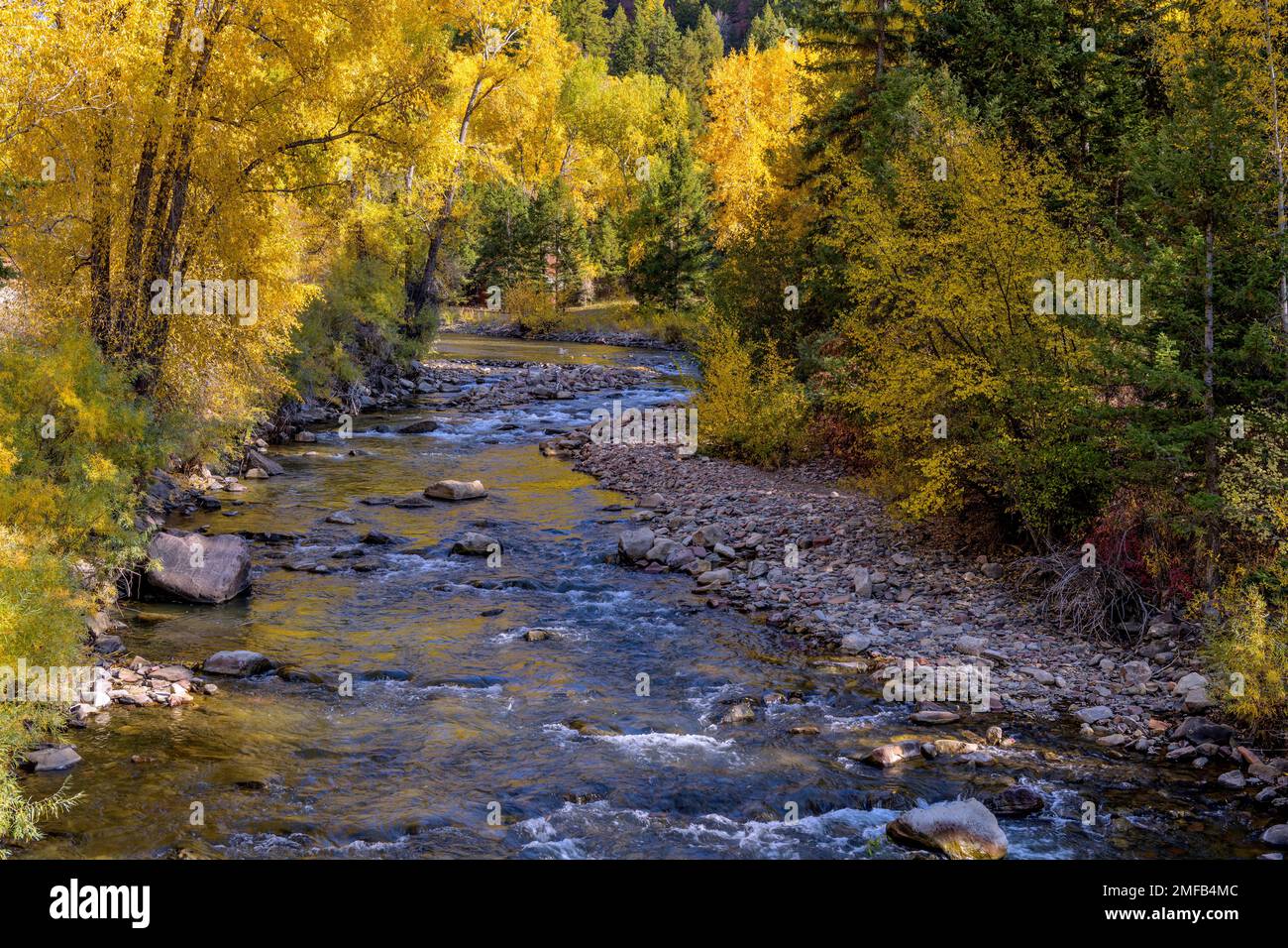 Autunno sul Fiume San Miguel - Una colorata veduta autunnale della parte superiore del Fiume San Miguel che si snoda in un ripido canyon. Telluride, Colorado, Stati Uniti. Foto Stock