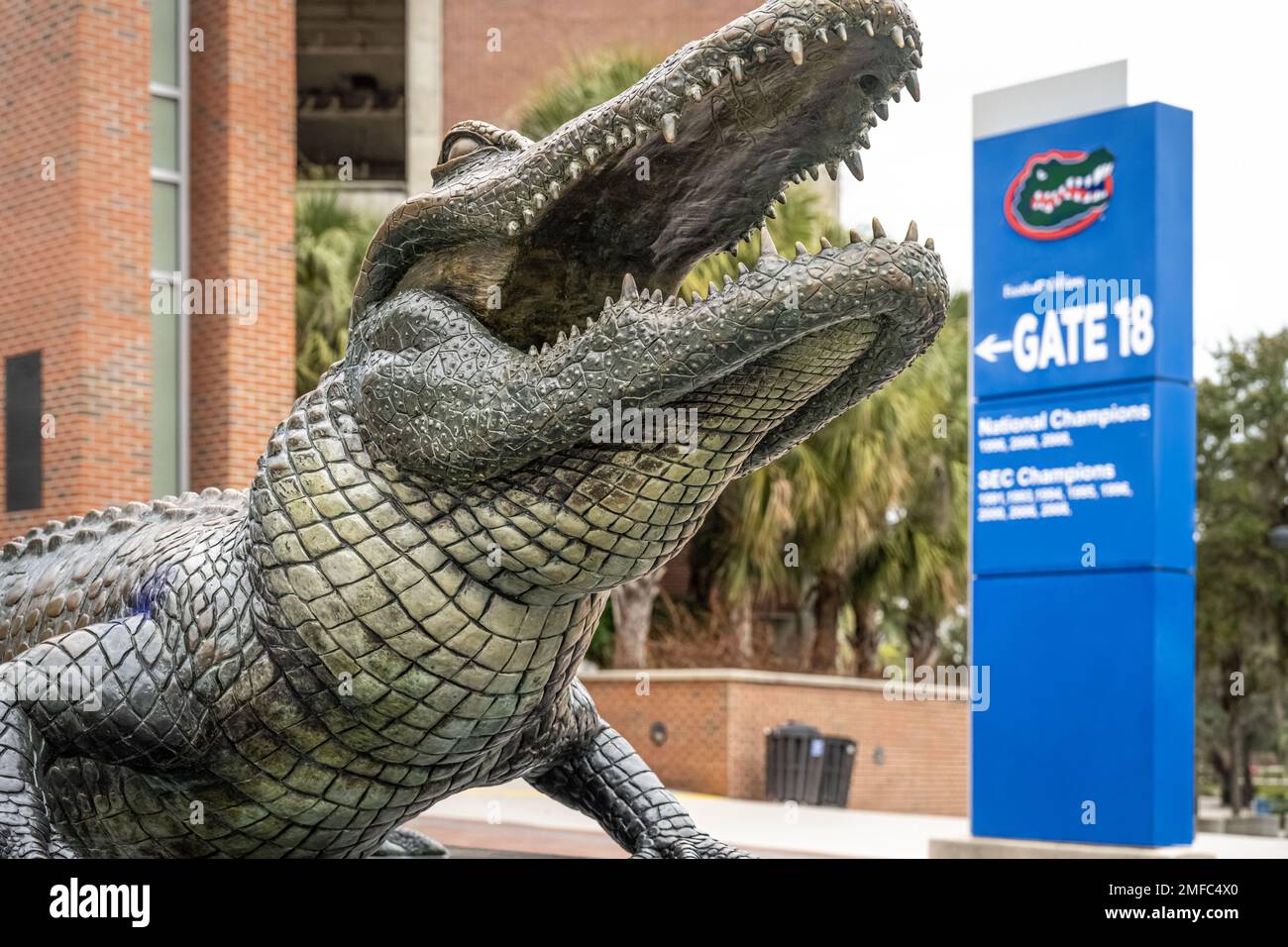 Statua di Bull Gator all'esterno dello stadio ben Hill Griffin dell'Università della Florida a Gainesville, Florida. (USA) Foto Stock