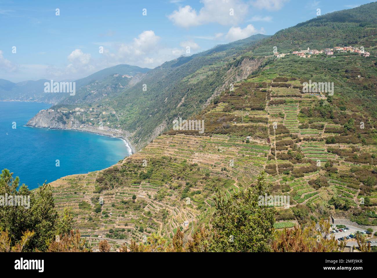 Costa delle cinque Terre, Italia Foto Stock