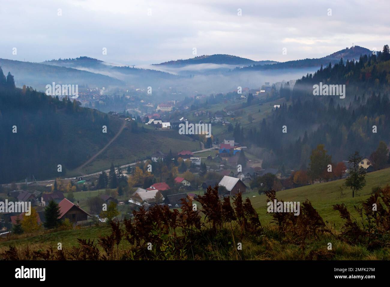 Paesaggio autunnale con nebbia in montagna. La foresta di abeti sulle colline. Carpazi, Ucraina, Europa. Foto di alta qualità. Foto Stock