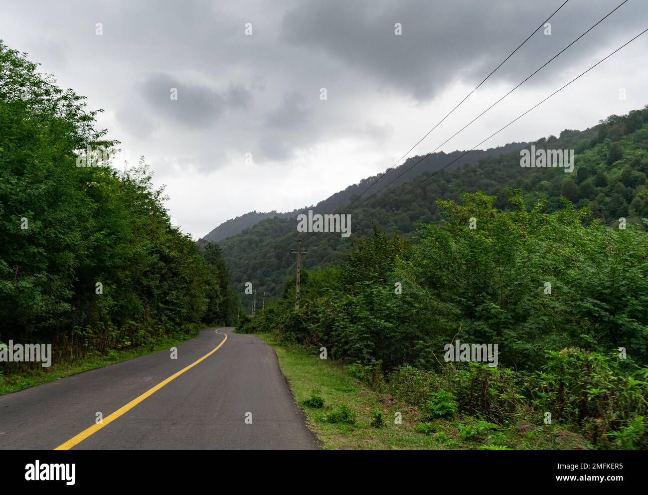 Alberi sul lato della strada di montagna tra le montagne... Foto Stock