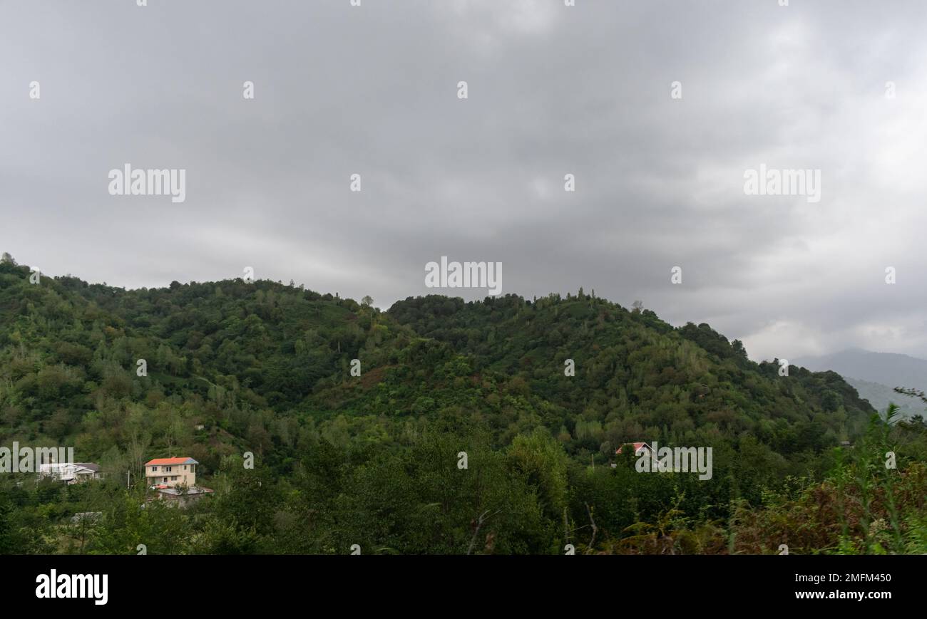 guida in nebbia Foto Stock