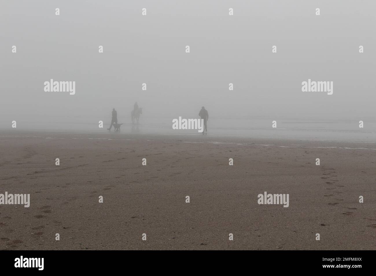 Un mix di persone in spiaggia in una giornata invernale nebbiosa e stravagante. Cavaliere, camminatore del cane e persona che cammina da solo, depressione, solo insieme concetto Foto Stock