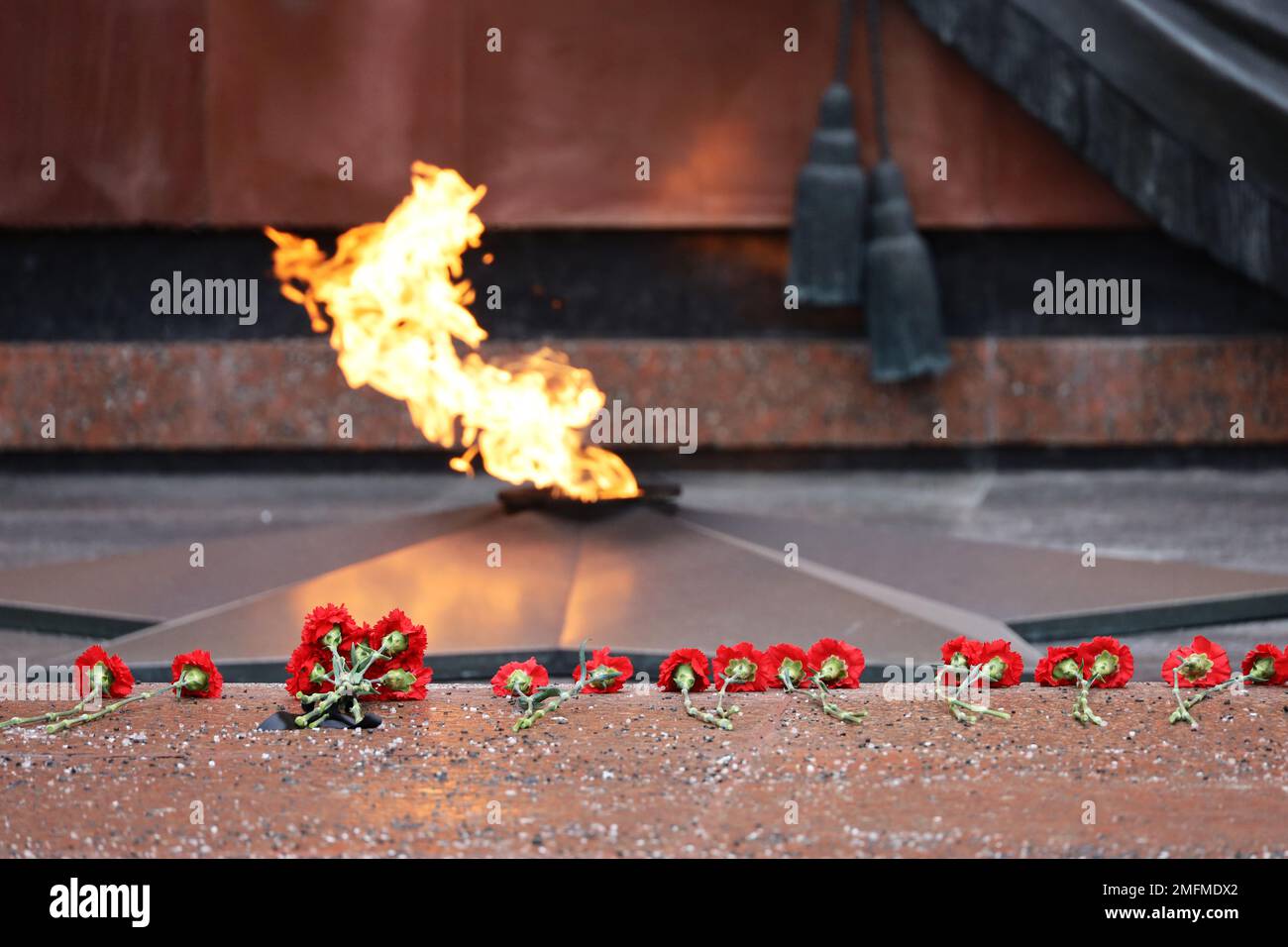 Garofani rossi e fiamma eterna vicino alle mura del Cremlino. Tomba del Milite Ignoto a Mosca Foto Stock