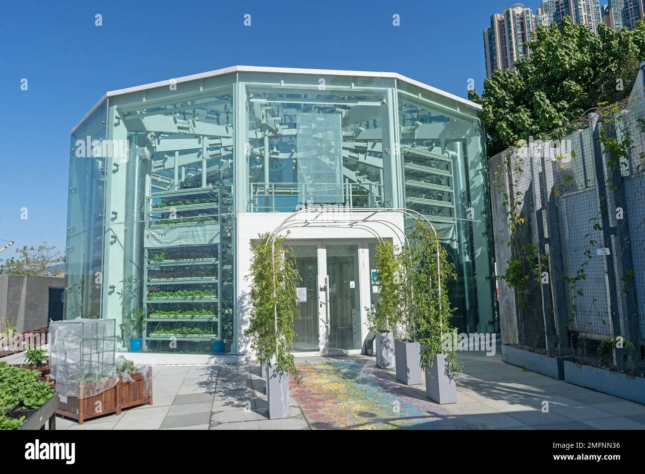 K-FARM è la prima azienda agricola urbana di Hong Kong che incorpora sistemi di produzione idroponica, acquaponica e biologica. Foto Stock K-FARM è la prima azienda agricola urbana di Hong Kong che incorpora sistemi di produzione idroponica, acquaponica e biologica. Foto Stock