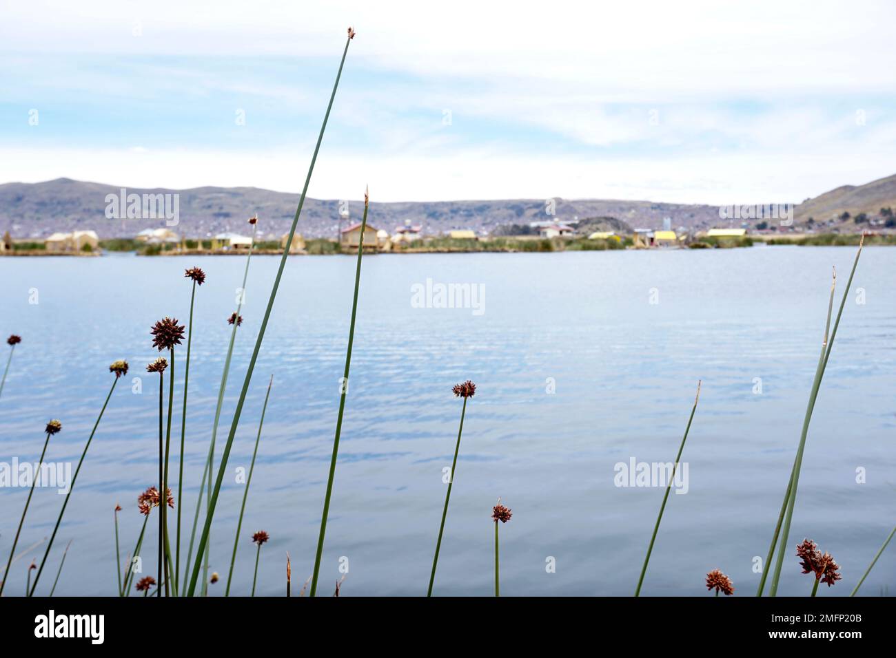 Piante di canna con villaggio galleggiante in background sul lago Titicaca vicino a Puno in Perù Foto Stock