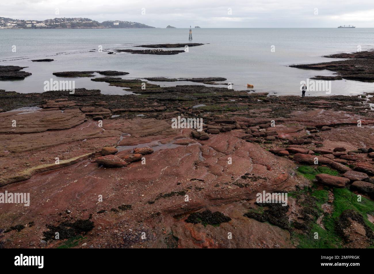 Paington Sands, Paignton, South Devon, in Inghilterra. Foto Stock