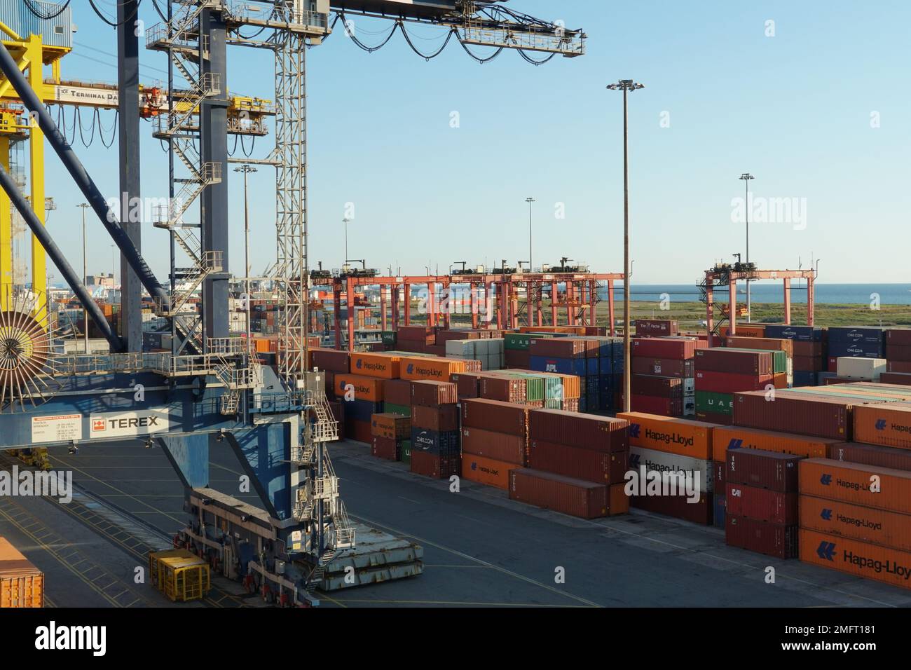 Terminal container con container stivati da gru a portale e da carretti a cavallo di diversi caricatori a Livorno. Foto Stock